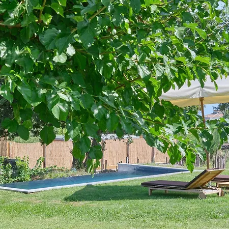 Monaci Delle Terre Nere 5*