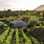 Monaci Delle Terre Nere Hotel Zafferana Etnea