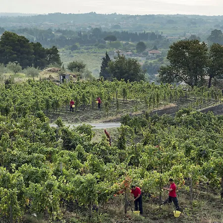 Szálloda Monaci Delle Terre Nere Zafferana Etnea