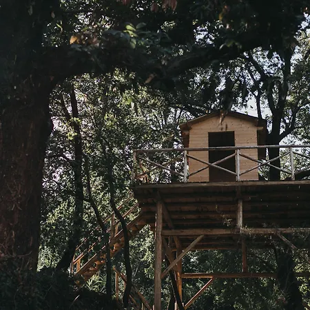 Monaci Delle Terre Nere Szálloda