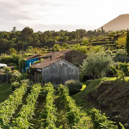 Monaci Delle Terre Nere Szálloda Zafferana Etnea