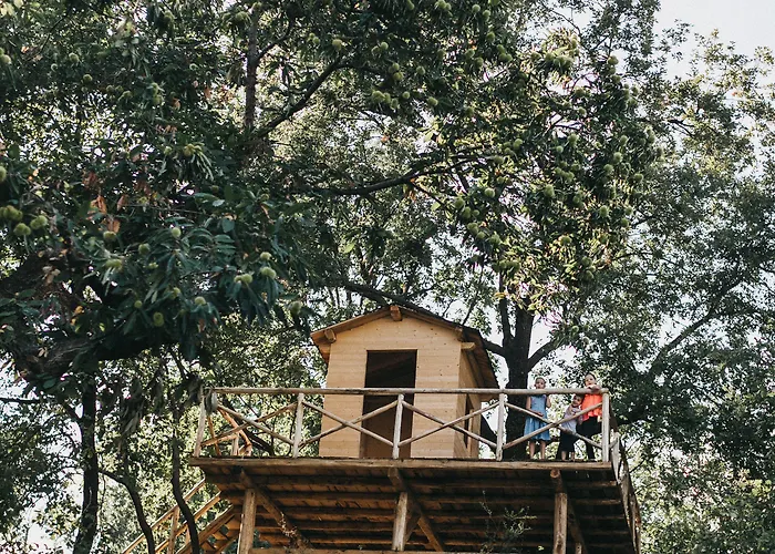 Hotel Monaci Delle Terre Nere 5*